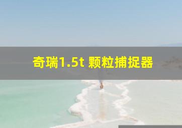 奇瑞1.5t 颗粒捕捉器